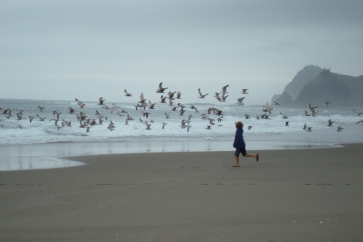 Chasing seagulls.